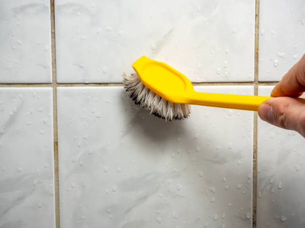 Best Home Mold Removal  in Magee, MS