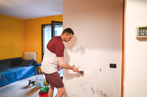 Certified Mold Removal in Magee, MS